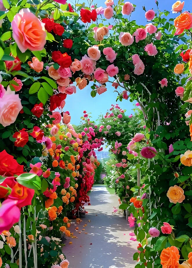 Imported Seeds Elegant Climbing Rose Flowers Seeds